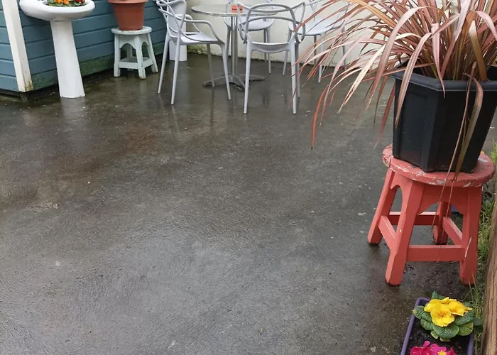 Tom Dick And Harriet's